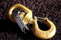 Swivel latch hook